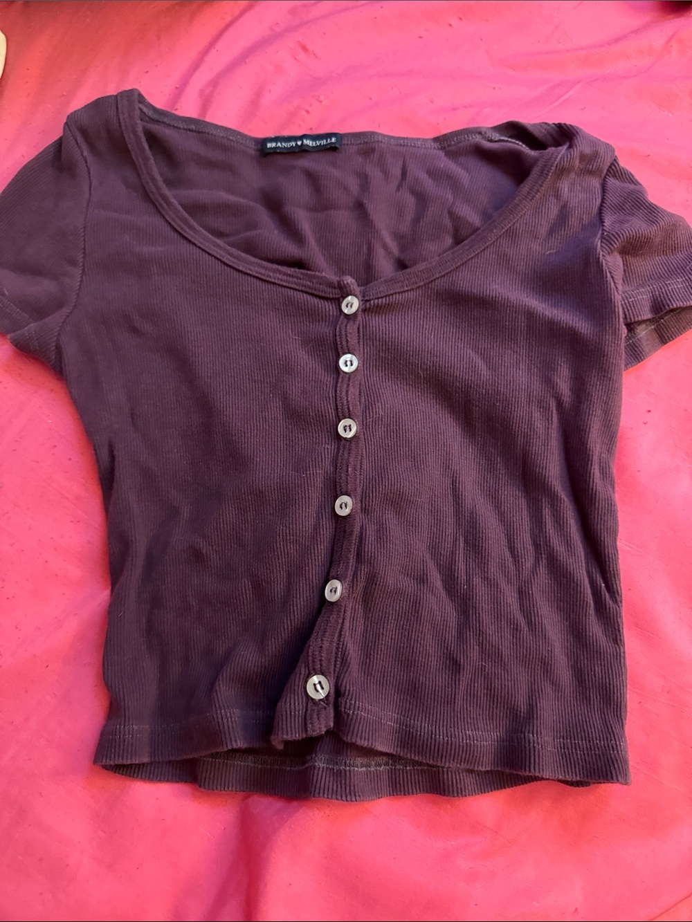 Brandy Melville Plum Button-Front Ribbed Short Sleeve Crop Top